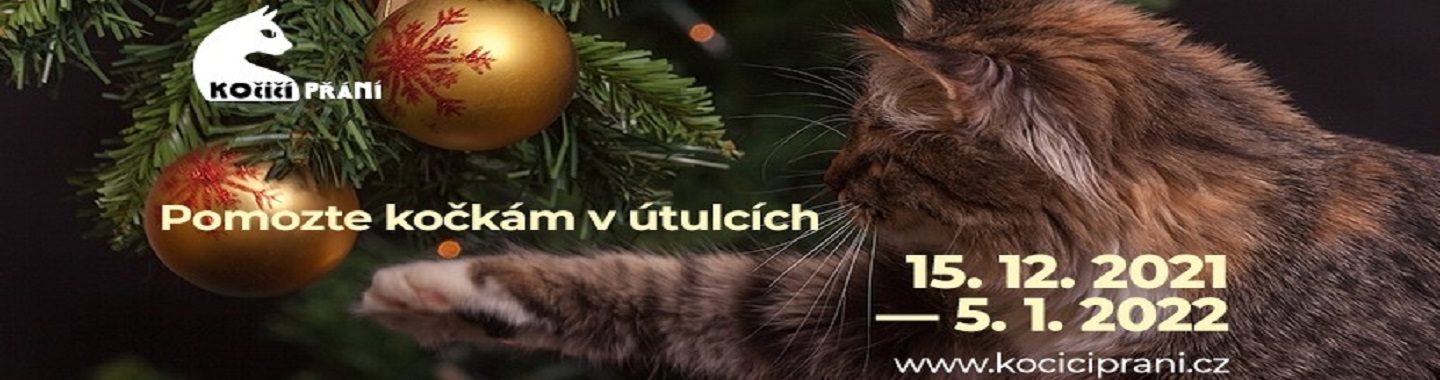 Kočičí přání – internetová charitativní akce (Vánoce 2021)